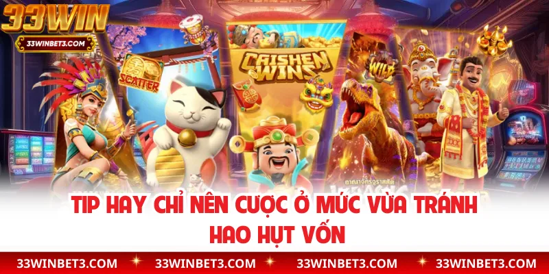 Tip hay chỉ nên cược ở mức vừa tránh hao hụt vốn